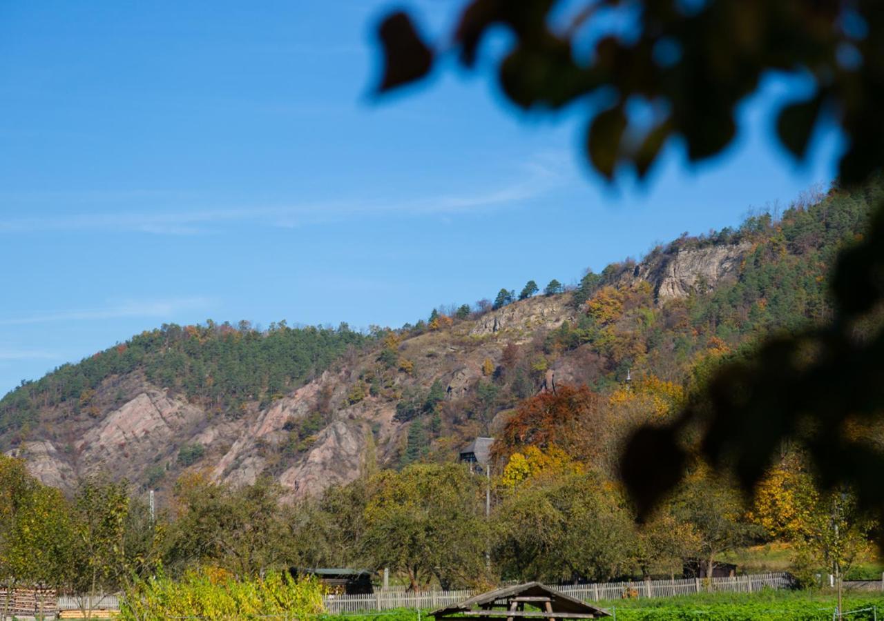 Hotel & Ferienwohnungen Bohlenblick Saalfeld Saale 外观 照片